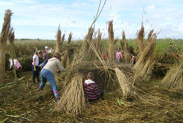 Reed Henge picture